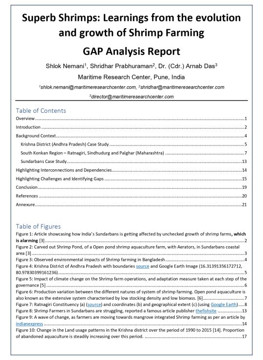 Gap Analysis - 1A_page-0002
