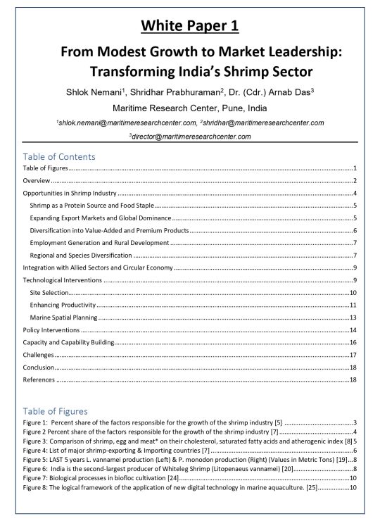 White Paper - 1A_page-0002