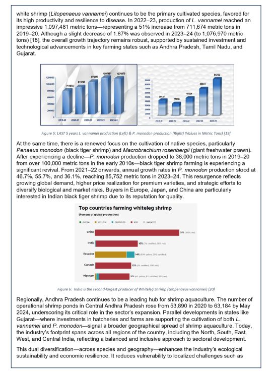 White Paper - 1A_page-0009