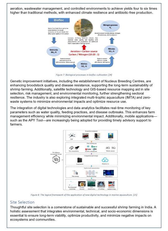 White Paper - 1A_page-0011