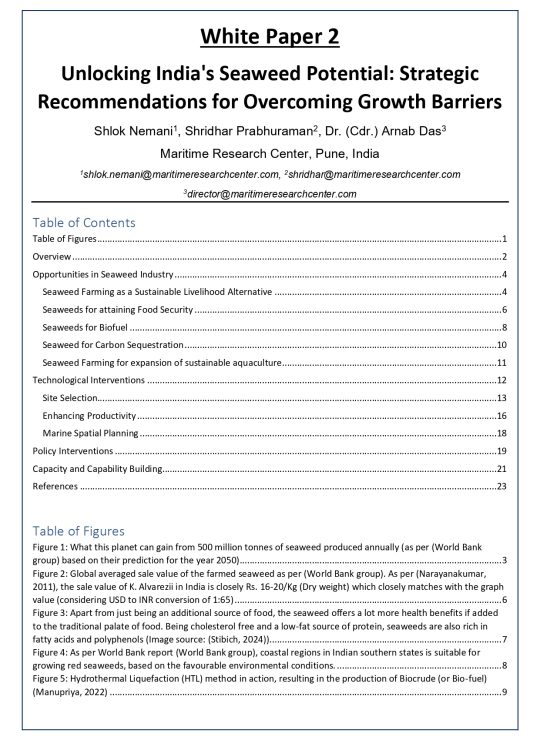 White Paper - 2A_page-0002