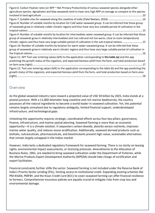 White Paper - 2A_page-0003