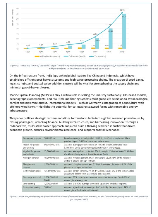 White Paper - 2A_page-0004