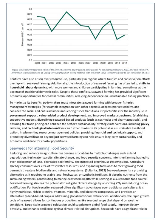 White Paper - 2A_page-0007