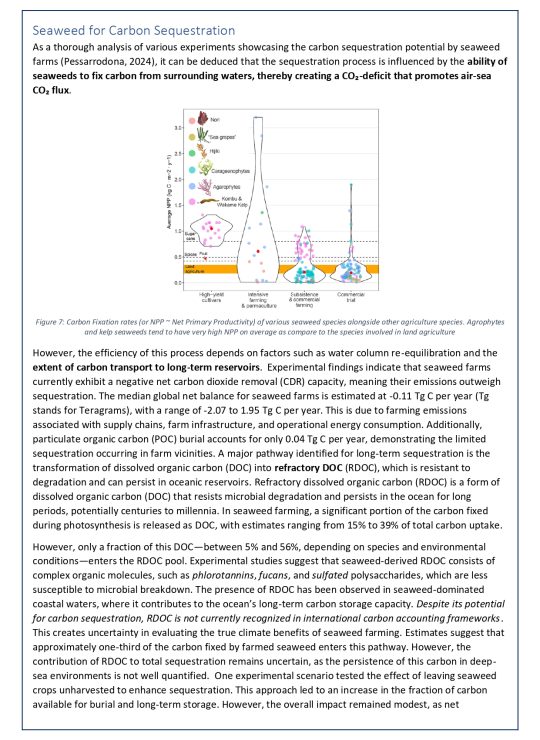 White Paper - 2A_page-0011